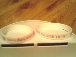 Daisy Palmer Trust Wristbands